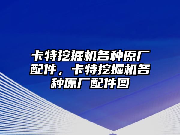 卡特挖掘機(jī)各種原廠配件，卡特挖掘機(jī)各種原廠配件圖