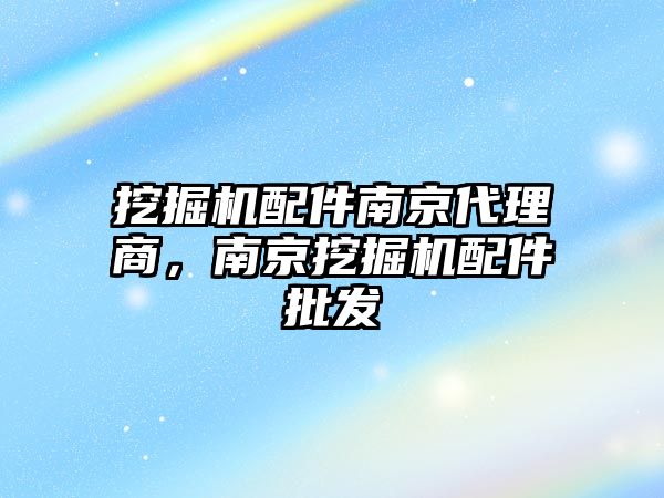 挖掘機配件南京代理商，南京挖掘機配件批發(fā)