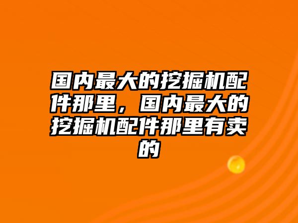 國內(nèi)最大的挖掘機配件那里，國內(nèi)最大的挖掘機配件那里有賣的