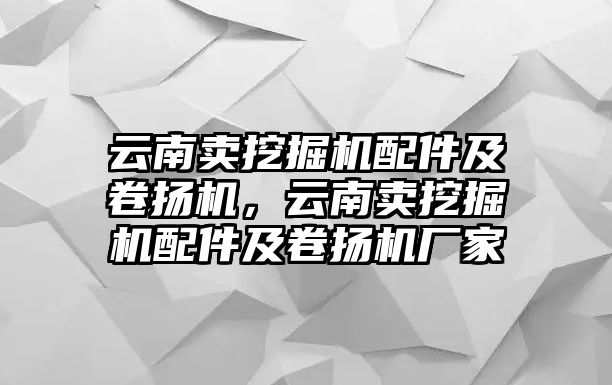 云南賣(mài)挖掘機(jī)配件及卷?yè)P(yáng)機(jī)，云南賣(mài)挖掘機(jī)配件及卷?yè)P(yáng)機(jī)廠家