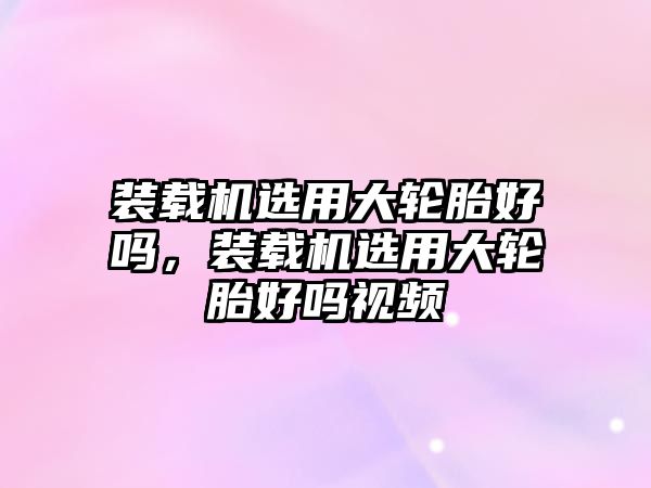 裝載機選用大輪胎好嗎，裝載機選用大輪胎好嗎視頻