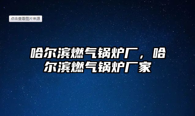 哈爾濱燃氣鍋爐廠，哈爾濱燃氣鍋爐廠家