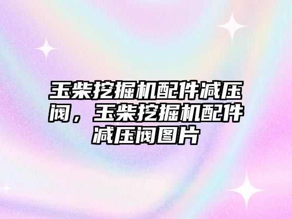 玉柴挖掘機配件減壓閥，玉柴挖掘機配件減壓閥圖片