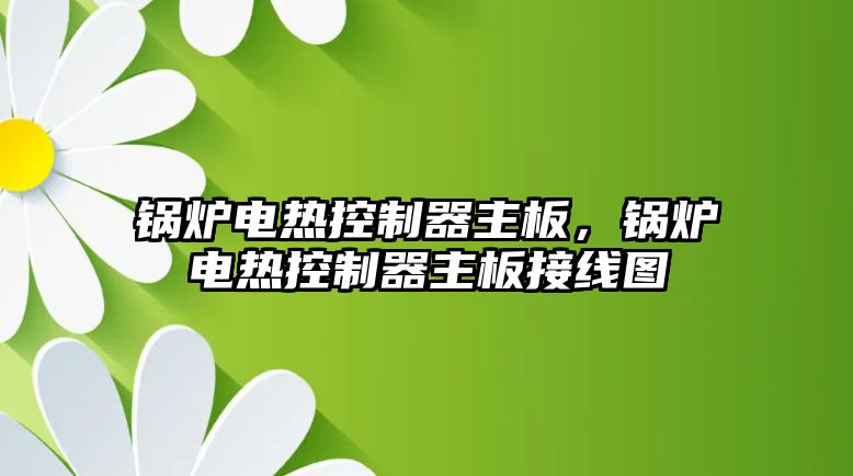 鍋爐電熱控制器主板，鍋爐電熱控制器主板接線圖