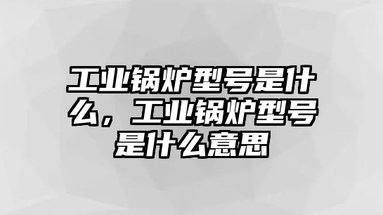 工業(yè)鍋爐型號(hào)是什么，工業(yè)鍋爐型號(hào)是什么意思