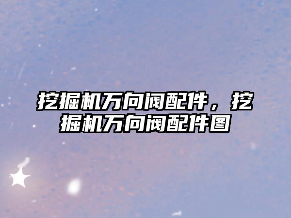 挖掘機萬向閥配件，挖掘機萬向閥配件圖