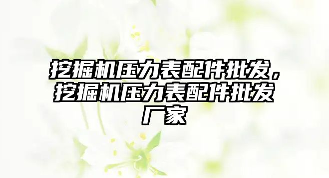 挖掘機壓力表配件批發(fā)，挖掘機壓力表配件批發(fā)廠家