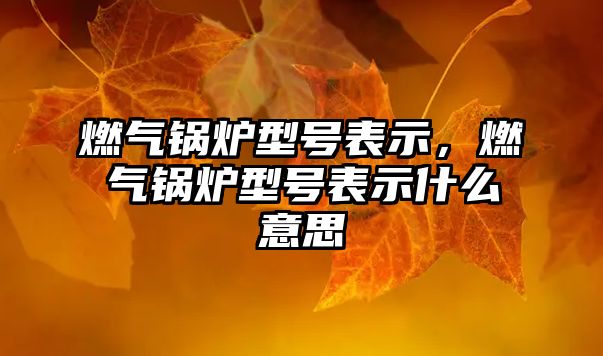 燃?xì)忮仩t型號表示，燃?xì)忮仩t型號表示什么意思