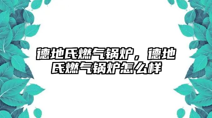 德地氏燃氣鍋爐，德地氏燃氣鍋爐怎么樣