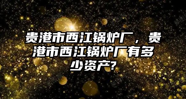 貴港市西江鍋爐廠，貴港市西江鍋爐廠有多少資產(chǎn)?