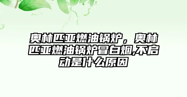 奧林匹亞燃油鍋爐，奧林匹亞燃油鍋爐冒白煙,不啟動(dòng)是什么原因