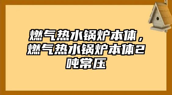 燃?xì)鉄崴仩t本體，燃?xì)鉄崴仩t本體2噸常壓