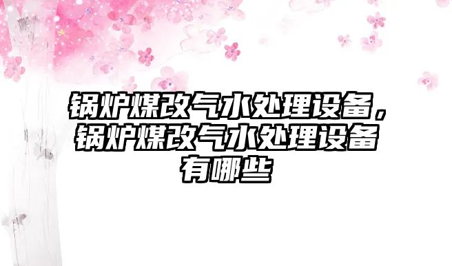 鍋爐煤改氣水處理設(shè)備，鍋爐煤改氣水處理設(shè)備有哪些