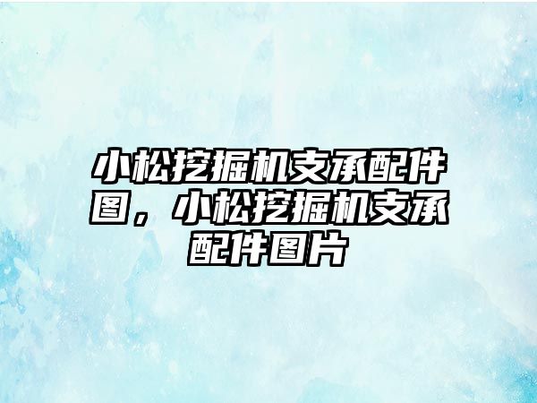 小松挖掘機支承配件圖，小松挖掘機支承配件圖片