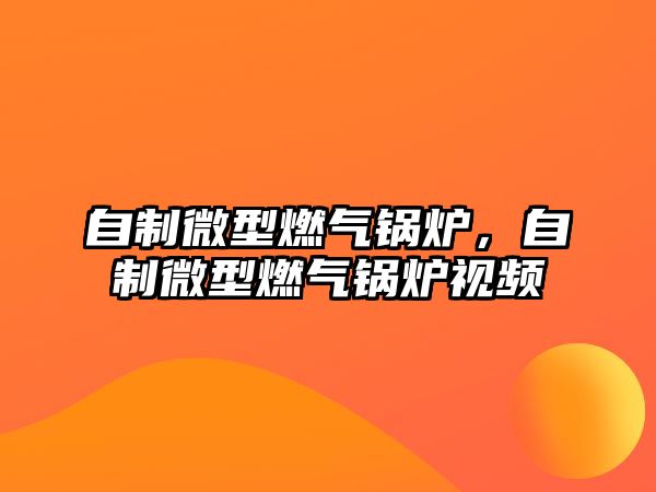 自制微型燃?xì)忮仩t，自制微型燃?xì)忮仩t視頻