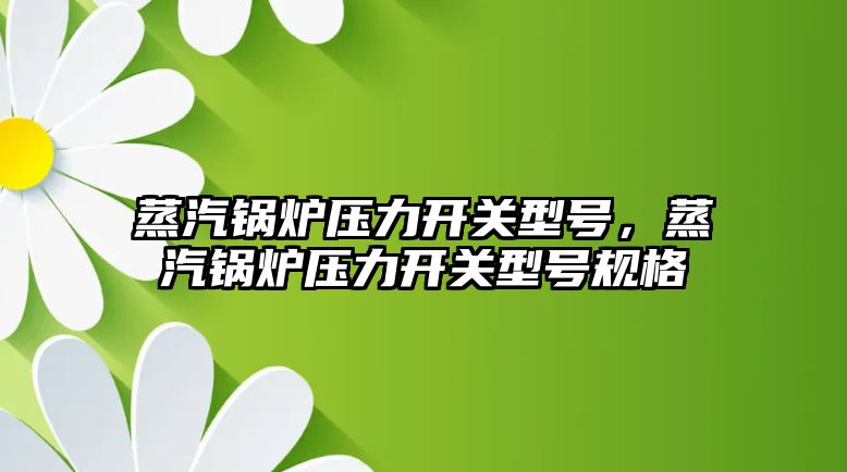 蒸汽鍋爐壓力開關型號，蒸汽鍋爐壓力開關型號規(guī)格