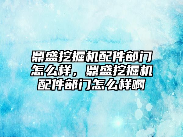 鼎盛挖掘機配件部門怎么樣，鼎盛挖掘機配件部門怎么樣啊