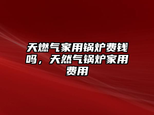 天燃?xì)饧矣缅仩t費(fèi)錢(qián)嗎，天然氣鍋爐家用費(fèi)用