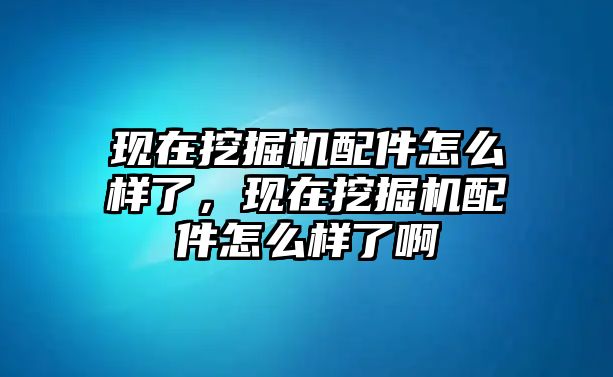 現(xiàn)在挖掘機(jī)配件怎么樣了，現(xiàn)在挖掘機(jī)配件怎么樣了啊