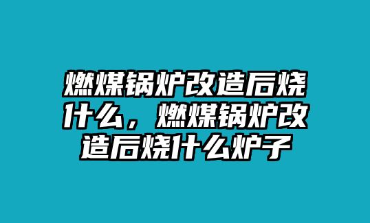 燃煤鍋爐改造后燒什么，燃煤鍋爐改造后燒什么爐子