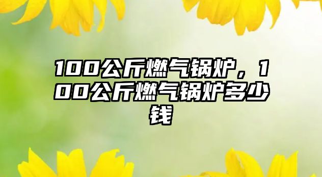 100公斤燃?xì)忮仩t，100公斤燃?xì)忮仩t多少錢