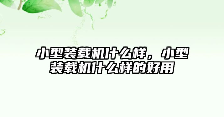 小型裝載機什么樣，小型裝載機什么樣的好用