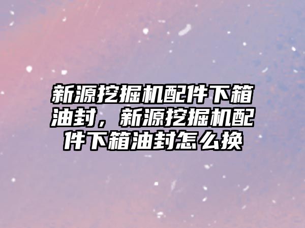 新源挖掘機配件下箱油封，新源挖掘機配件下箱油封怎么換