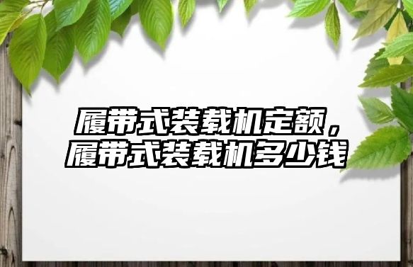 履帶式裝載機定額，履帶式裝載機多少錢