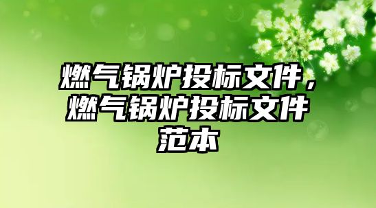 燃?xì)忮仩t投標(biāo)文件，燃?xì)忮仩t投標(biāo)文件范本