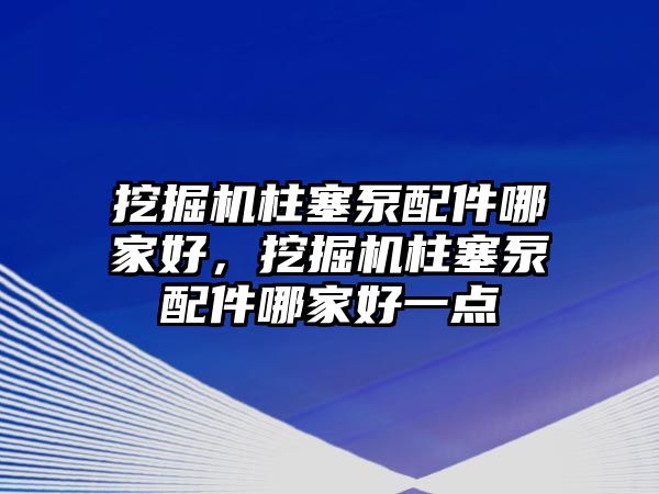 挖掘機(jī)柱塞泵配件哪家好，挖掘機(jī)柱塞泵配件哪家好一點