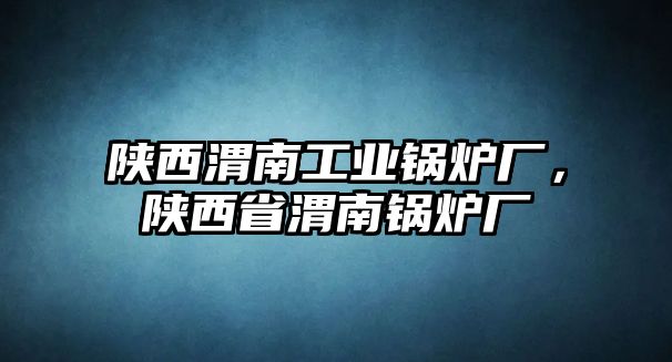 陜西渭南工業(yè)鍋爐廠，陜西省渭南鍋爐廠