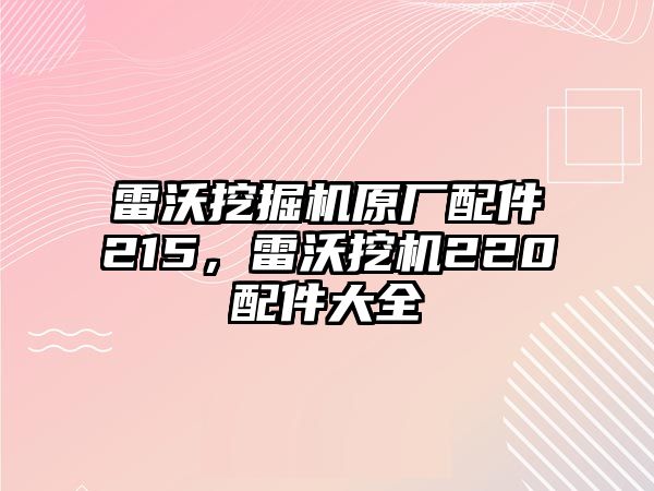 雷沃挖掘機(jī)原廠配件215，雷沃挖機(jī)220配件大全