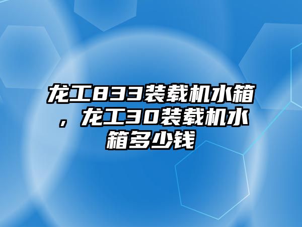 龍工833裝載機(jī)水箱，龍工30裝載機(jī)水箱多少錢(qián)