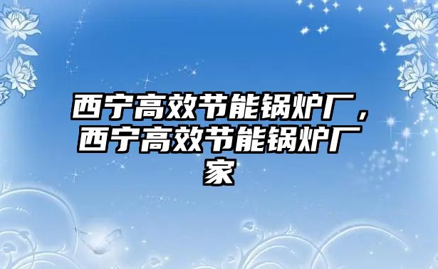 西寧高效節(jié)能鍋爐廠，西寧高效節(jié)能鍋爐廠家