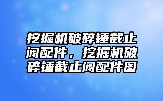 挖掘機(jī)破碎錘截止閥配件，挖掘機(jī)破碎錘截止閥配件圖