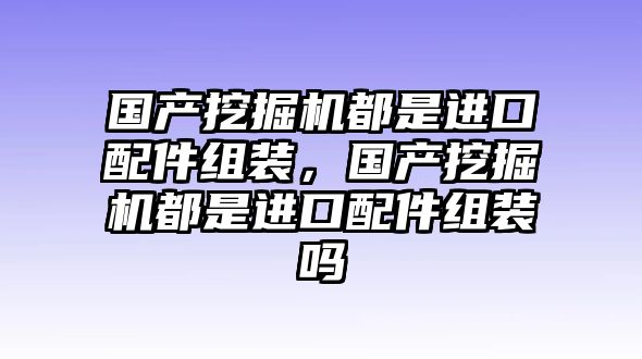 國產(chǎn)挖掘機都是進口配件組裝，國產(chǎn)挖掘機都是進口配件組裝嗎