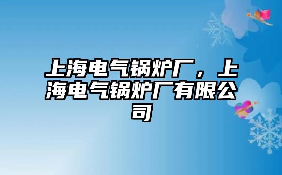 上海電氣鍋爐廠，上海電氣鍋爐廠有限公司