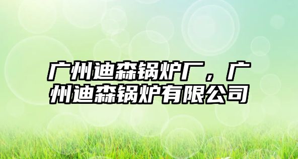 廣州迪森鍋爐廠，廣州迪森鍋爐有限公司