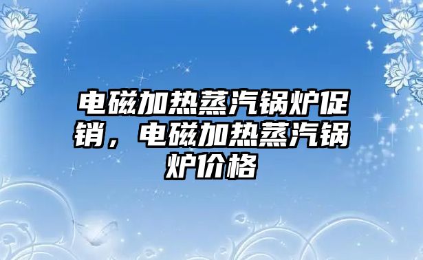 電磁加熱蒸汽鍋爐促銷，電磁加熱蒸汽鍋爐價(jià)格