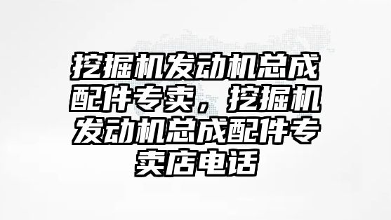 挖掘機(jī)發(fā)動機(jī)總成配件專賣，挖掘機(jī)發(fā)動機(jī)總成配件專賣店電話