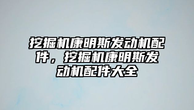 挖掘機康明斯發(fā)動機配件，挖掘機康明斯發(fā)動機配件大全