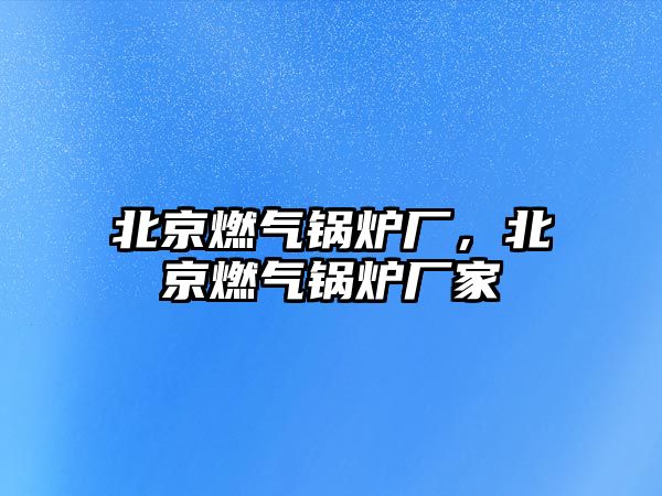 北京燃?xì)忮仩t廠(chǎng)，北京燃?xì)忮仩t廠(chǎng)家