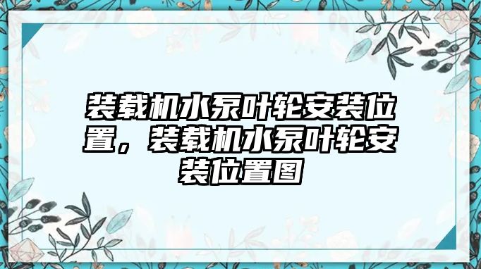 裝載機(jī)水泵葉輪安裝位置，裝載機(jī)水泵葉輪安裝位置圖