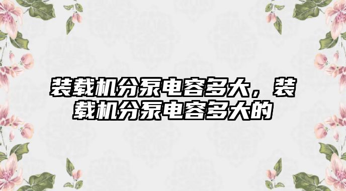 裝載機分泵電容多大，裝載機分泵電容多大的