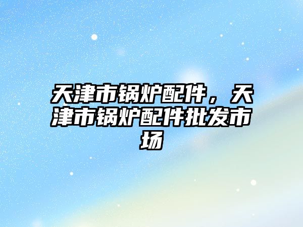 天津市鍋爐配件，天津市鍋爐配件批發(fā)市場