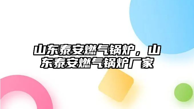 山東泰安燃氣鍋爐，山東泰安燃氣鍋爐廠家