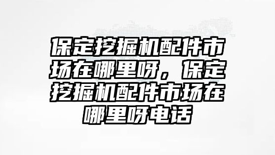 保定挖掘機(jī)配件市場(chǎng)在哪里呀，保定挖掘機(jī)配件市場(chǎng)在哪里呀電話