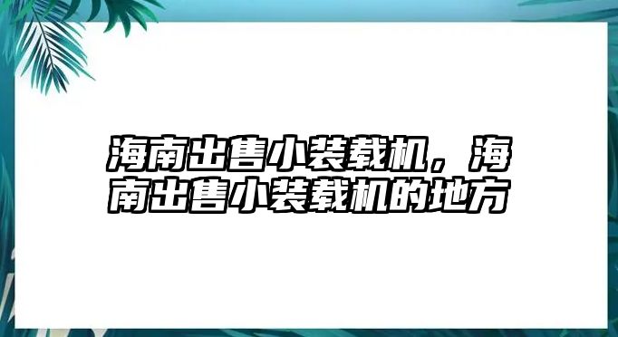 海南出售小裝載機(jī)，海南出售小裝載機(jī)的地方