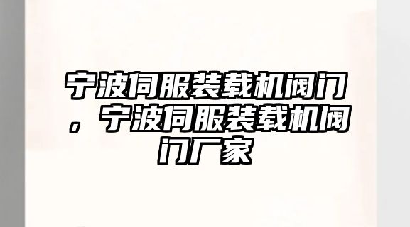 寧波伺服裝載機(jī)閥門，寧波伺服裝載機(jī)閥門廠家