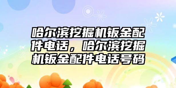 哈爾濱挖掘機鈑金配件電話，哈爾濱挖掘機鈑金配件電話號碼